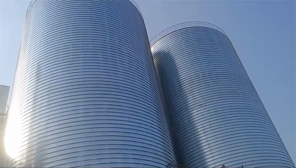 延吉2座混凝土高架卷板仓